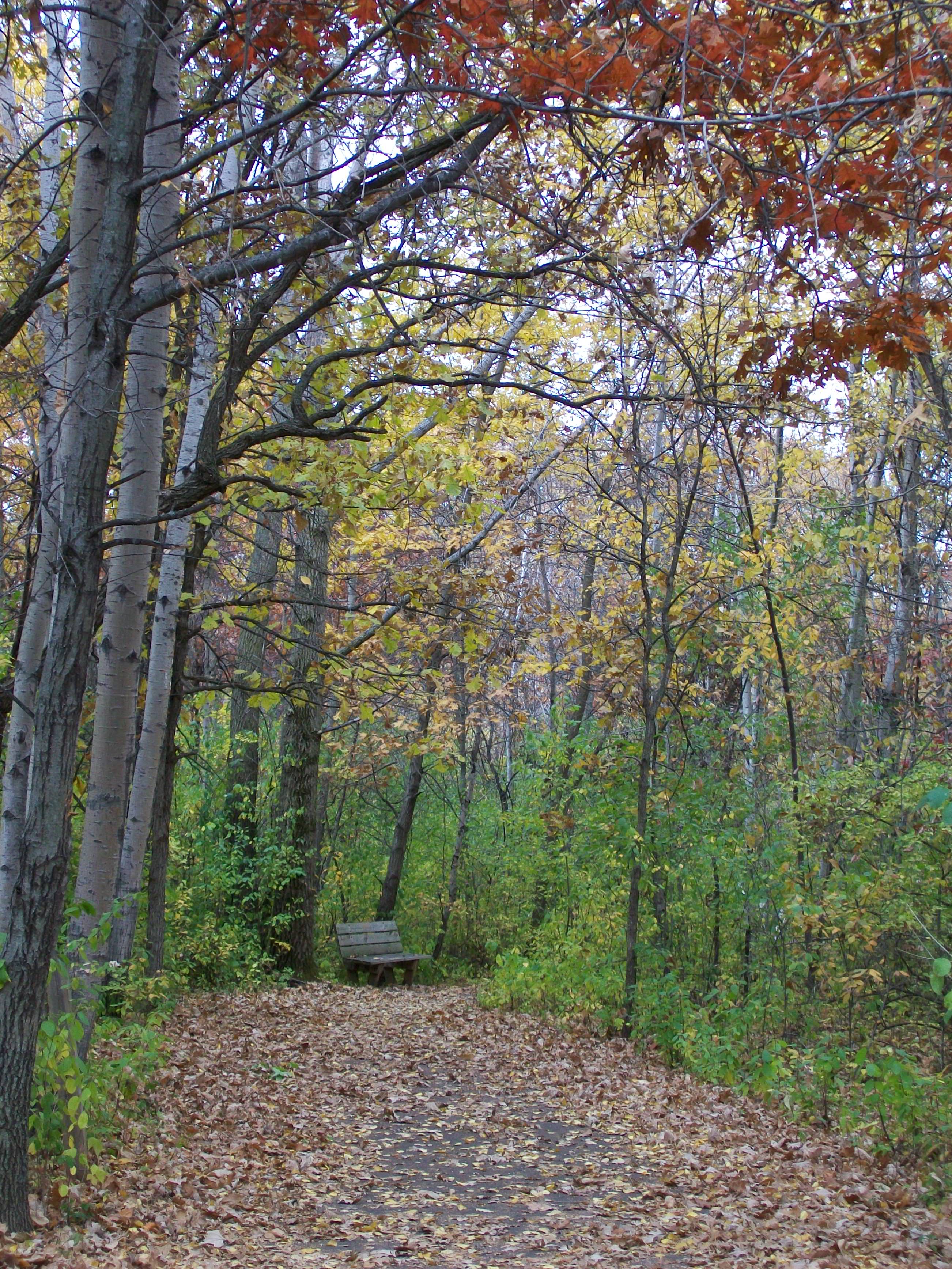 100_0704-j  leslie crow